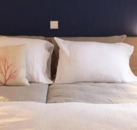 Bed & Breakfast Blueprint - Breakfast & Bikes Amsterdam